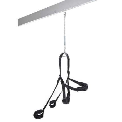 Fetish Fantasy Swing in Black