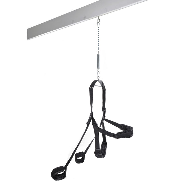 Fetish Fantasy Swing in Black